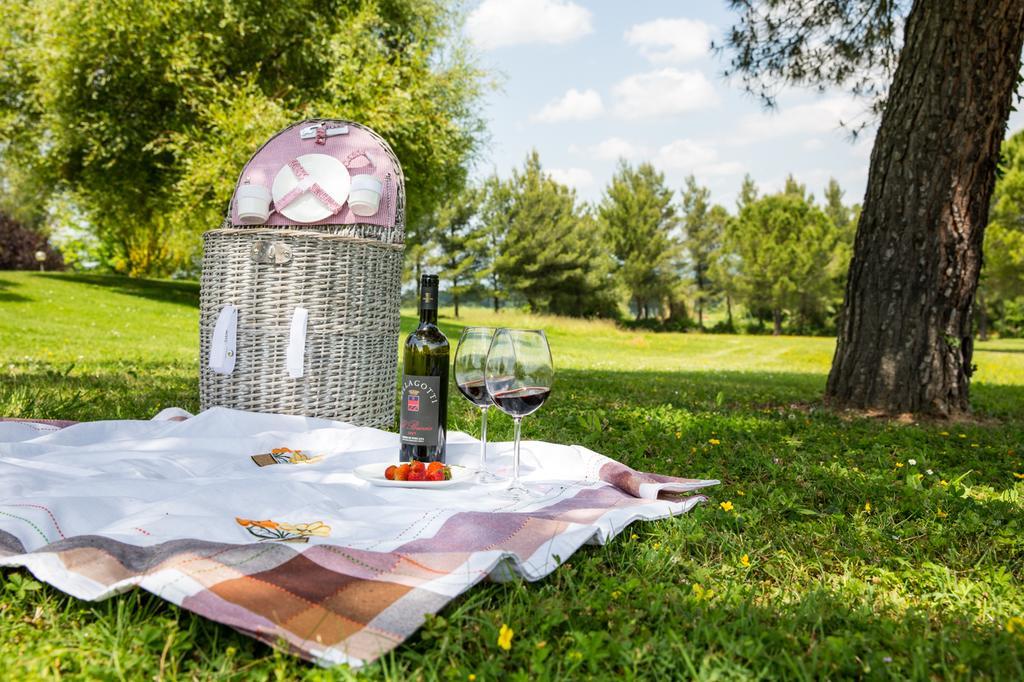 Agriturismo Colleverde Selvatelle Екстер'єр фото