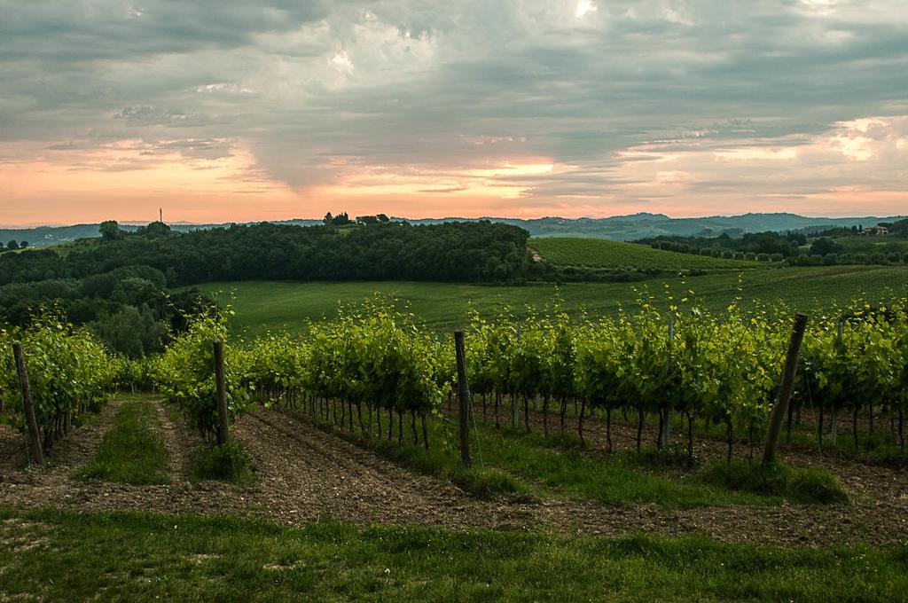 Agriturismo Colleverde Selvatelle Екстер'єр фото
