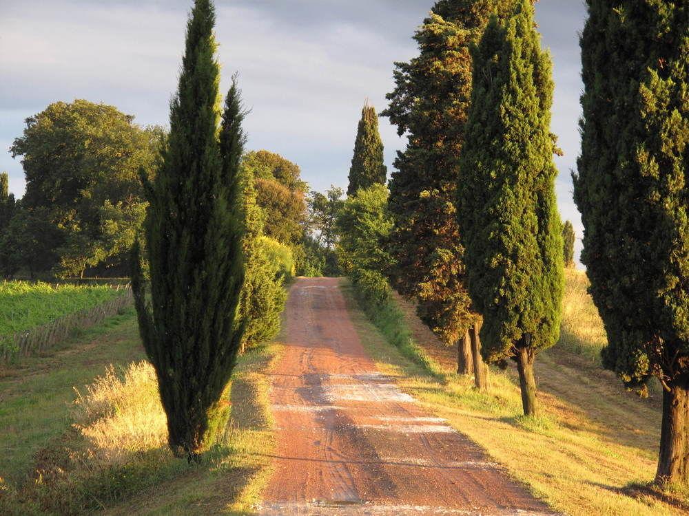 Agriturismo Colleverde Selvatelle Екстер'єр фото