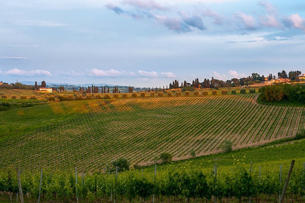 Agriturismo Colleverde Selvatelle Екстер'єр фото