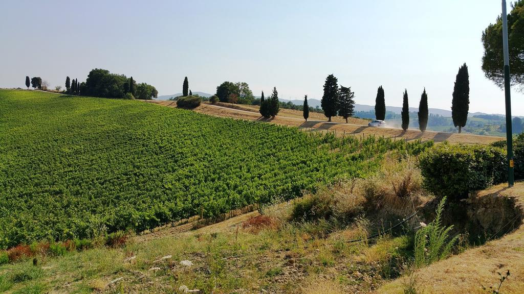 Agriturismo Colleverde Selvatelle Екстер'єр фото