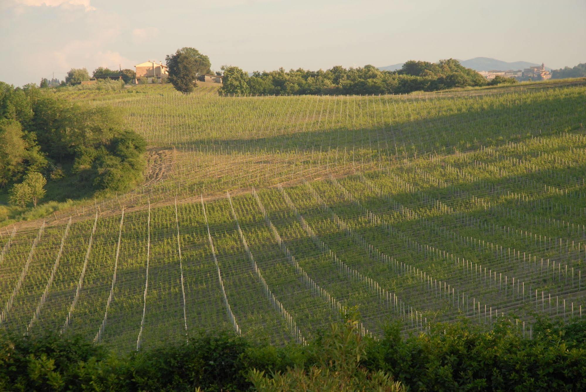 Agriturismo Colleverde Selvatelle Екстер'єр фото